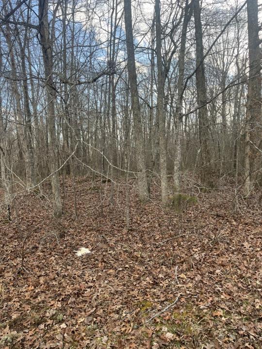 0 Boynton Valley Rd, Lot 36, Manchester, 田納西州 37355, 美國