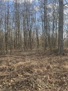 0 Boynton Valley Road Lot 37, Manchester, 田納西州 37355, 美國