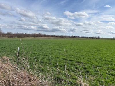 Tract 6 000 Lawrence 1220, Marionville, Missouri 65705, USA