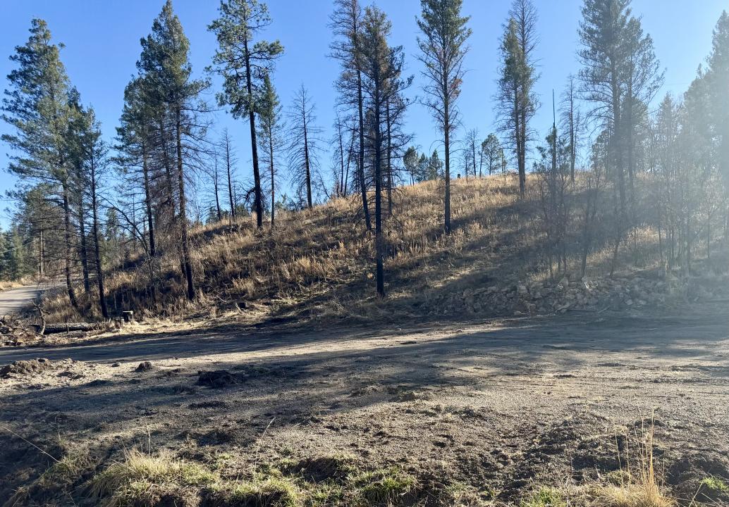 103 Alpine Village Rd, Ruidoso, 新墨西哥州 88345, 美國