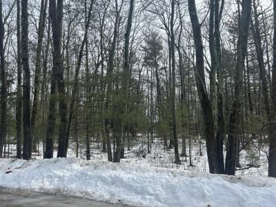 V/L Lot 15 South Ellen Drive, Harrisville, Michigan 48740, USA