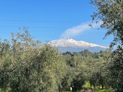 contrada agnelleria, Belpasso, Sicilia 95032, Italie