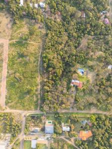 Jacaranda & Wenceslao Lopez , San Bernardino, Cordillera 00001, 巴拉圭