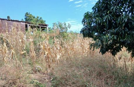 JESUS CARRANZA 58,, Tonila, Jalisco 49840, Mexico