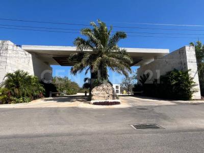 Tablaje 6943 Lote 42,, Conkal, Yucatan 97345, Mexique