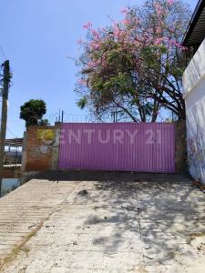 Santa Cruz Xoxocotlan, Oaxaca 71233, Mexique