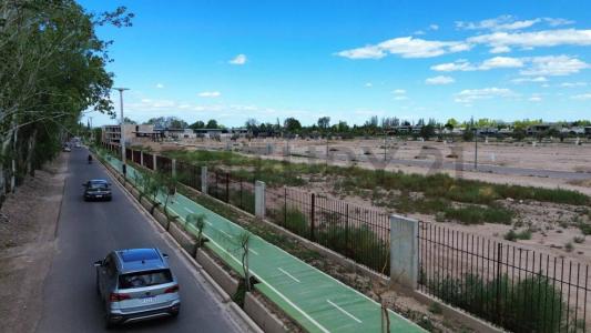 ALMIRANTE BROWN SN, Chacras De Coria, Mendoza 5519, Argentina