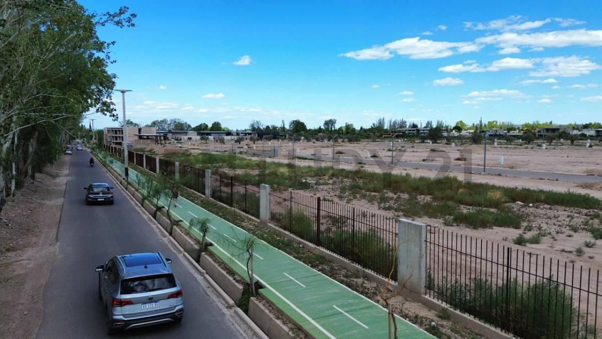 ALMIRANTE BROWN SN, Chacras De Coria, Mendoza 5519, Argentina