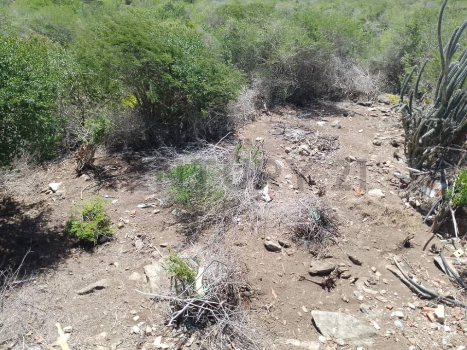 Altamira terreno, La Plaza De Paraguachí, Nueva Esparta 00001, Venezuela