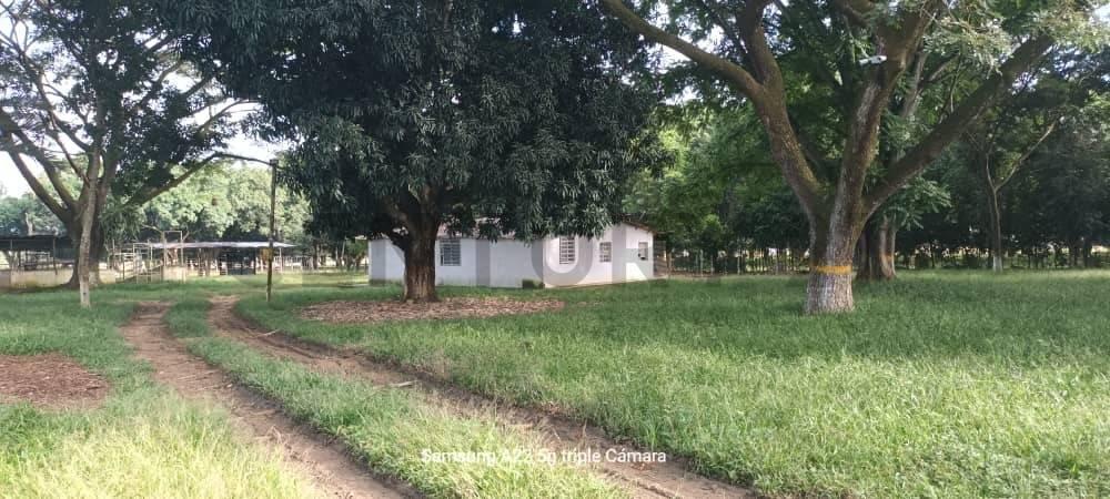 Av principal Venta de Finca porcina en Tinaquillo, Edo. Cojedes, Tinaquillo, Cojedes 2209, Venezuela