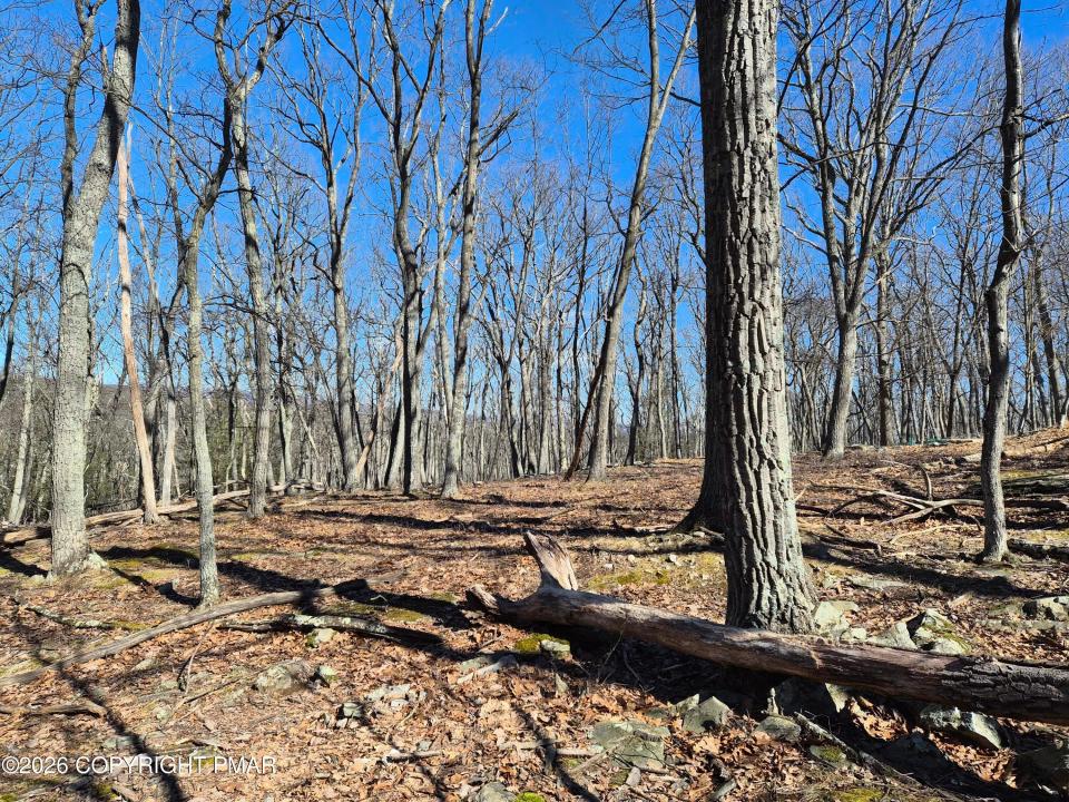 Sunlight Dr 11, Henryville, Pennsylvanie 18332, États-Unis