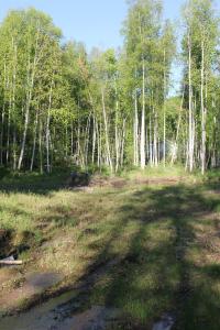 NHN TERRACE DRIVE LOT 118, Fairbanks, Alaska 99712, Stati Uniti