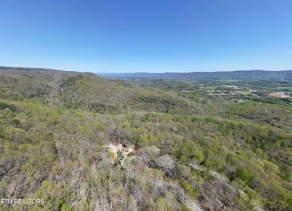 Old Spencer Rd. - 26 Acres, Pikeville, Tennessee 37367, HOA KỲ