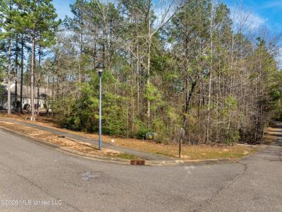 6 N Of Fields, Hattiesburg, Mississippi 39402, États-Unis