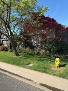 725 N Silvervale Drive, Visalia, California 93292, USA