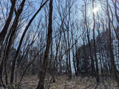 氷室町, 宇都宮市, Tochigi 321-3232, 日本