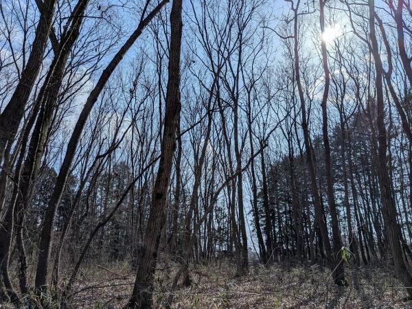 氷室町, 宇都宮市, Tochigi 321-3232, Japon