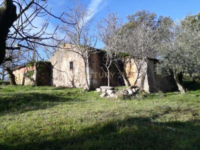 Ansião, Leiria 3240-680, Portugal