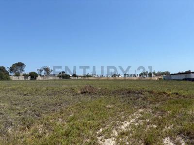 callejon kawai , Cañete, Lima 00001, Peru