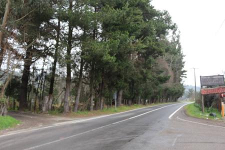 Concepción, Región Del Biobío 00001, 智利