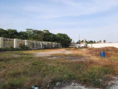 Chichiriviche, Falcón 2061, Venezuela