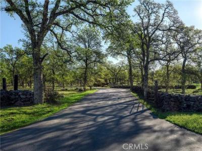 Grindstone, Chic, カリフォルニア 95973, アメリカ合衆国