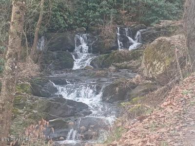 Waters End Rd, Walland, Tennessee 37886, USA