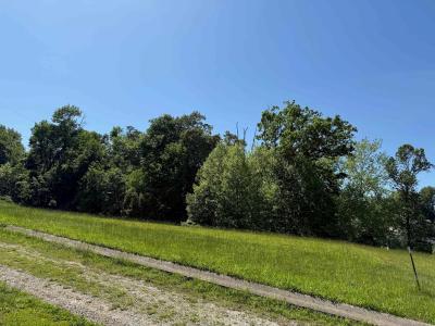 Lot #16 Meadow Glen Road, Flatwoods, Kentucky 41139, États-Unis