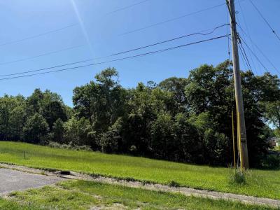 Lot #17 Meadow Glen Road, Flatwoods, Kentucky 41139, États-Unis
