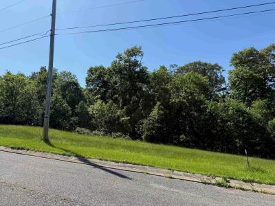Lot #19 Meadow Glen Road, Flatwoods, Kentucky 41139, États-Unis