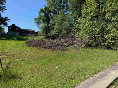 Lot #10 Meadow Glen Road, Flatwoods, Kentucky 41139, États-Unis