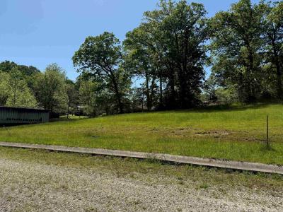 Lot #12 Meadow Glen Road, Flatwoods, Kentucky 41139, États-Unis