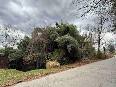 Lot 36 37 38 Roland Park Kings Hwy, Huntington, WV 25705, USA