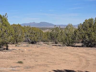 53302 Shadow Mountain Parkway, Seligman, Nevada 86337, USA