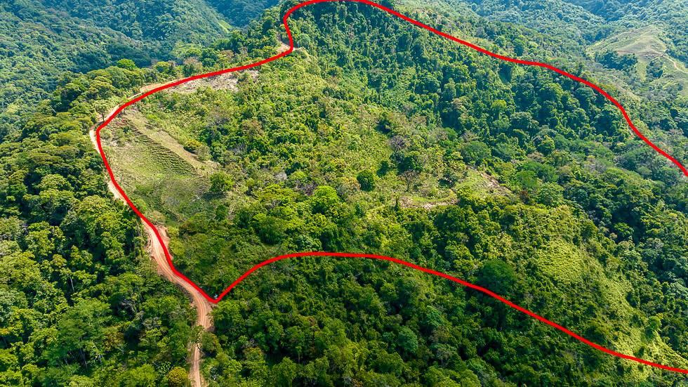 Uvita Bahía Ballena Osa, Puntarenas 00001, Costa Rica