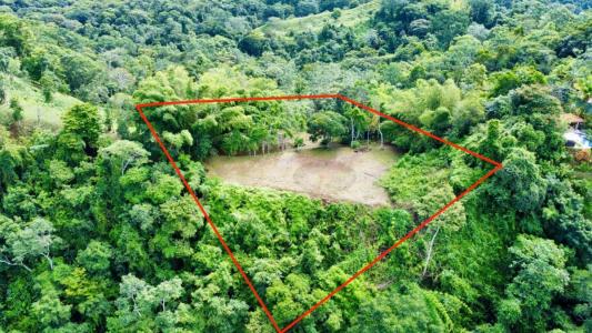 Platanillo Barú Pérez Zeledón, San José 00001, Costa Rica