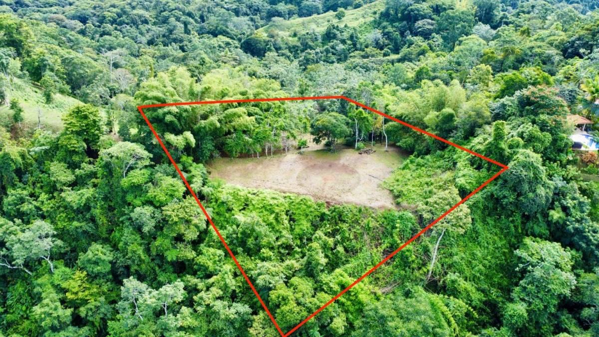 Platanillo Barú Pérez Zeledón, San José 00001, Costa Rica