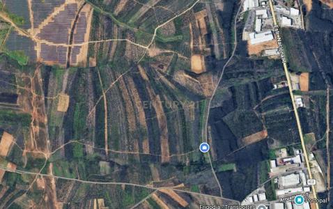 Albergaria A Velha, Aveiro 3850-184, Portugal