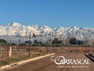 Azcuenaga 1000, Maipú, Mendoza 00001, Argentine