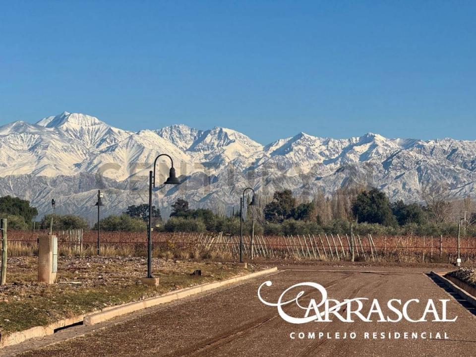 Azcuenaga 1000, Maipú, Mendoza 00001, Argentine