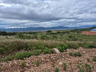 La Victoria , La Vitoria, Tarija 00001, Bolivia