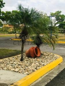 Av. Aeropuerto, Higuerote , Higuerote, Miranda 1231, Venezuela
