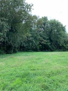 0 35th Street, Huntington, Virginie Occidentale 25702, États-Unis