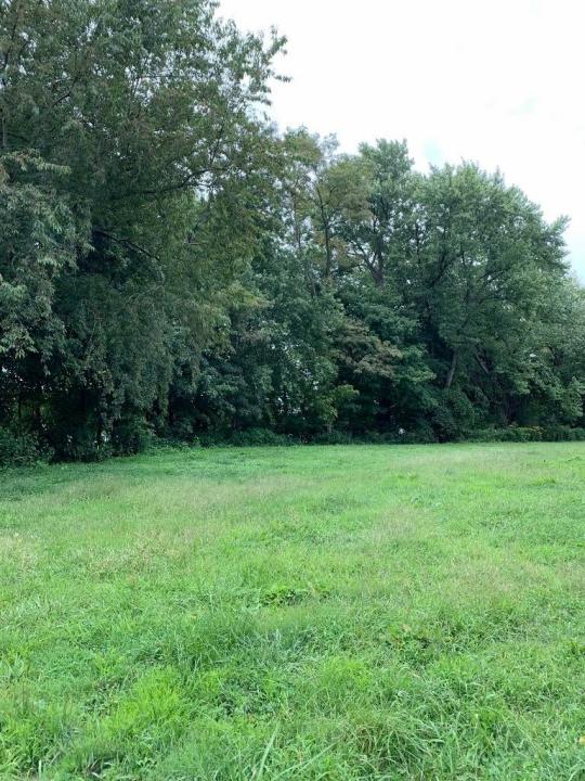 0 35th Street, Huntington, Virginie Occidentale 25702, États-Unis