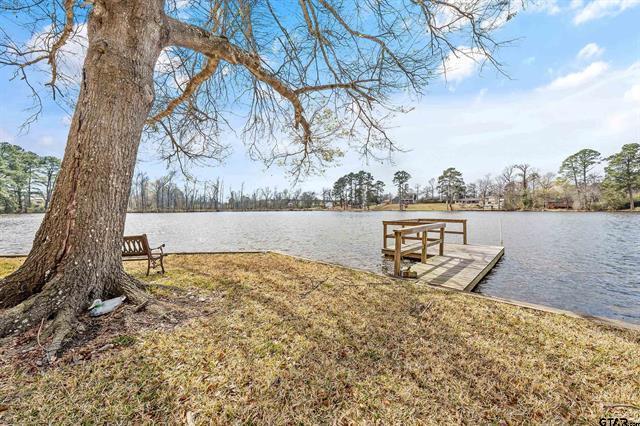 10202 E Lakeshore Drive, Tyler, Texas 75709, Stati Uniti