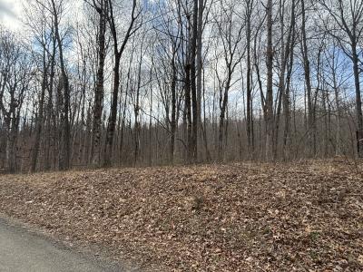 Lot 161 Quail Lane, Dunlap, Tennessee 37327, USA