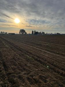 9449 S Mccall Avenue, Selma, California 93662, USA