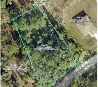 Lot 19 Canyon Swallow Road, Weeki Wachee, フロリダ 34614, アメリカ合衆国