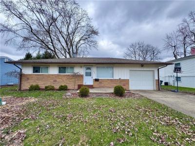 4230 Selkirk Avenue, Austintown, Ohio 44511, USA