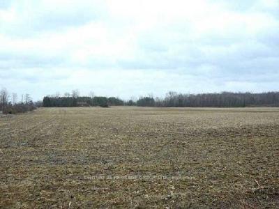 3329 11 LINE, Bradford West Gwillimbury, אונטריו L3Z 3N5, קנדה 